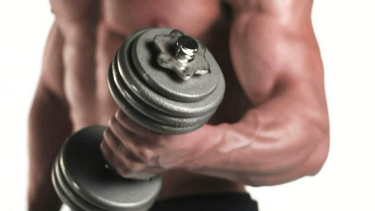 Integratori alimentari per bodybuilding Biolab