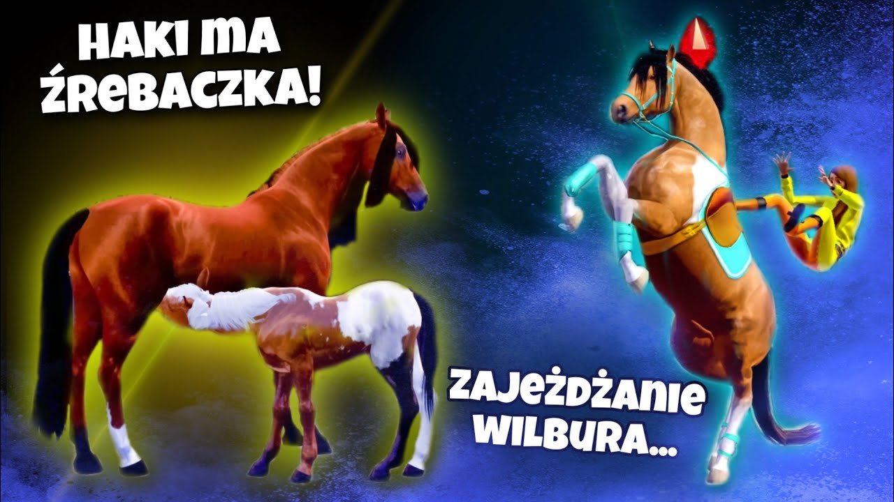 ZAŹREBIŁAM HAKAMADE W THE SIMS 3!
