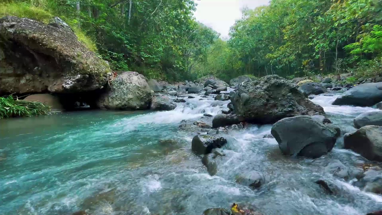 River Sounds for Deep Sleep (No Music, Natural Water)