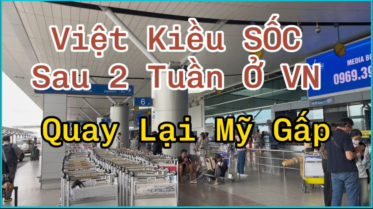 Việt Kiều SỐC Sau 2 Tuần Ở Việt Nam – Lý Do Phải Quay Lại Mỹ Gấp!
