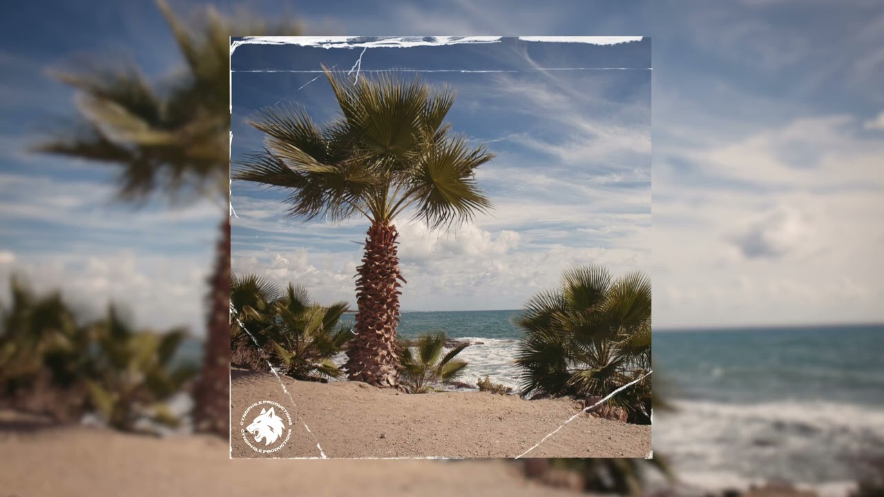 Melodic Guitar Type Beat - 