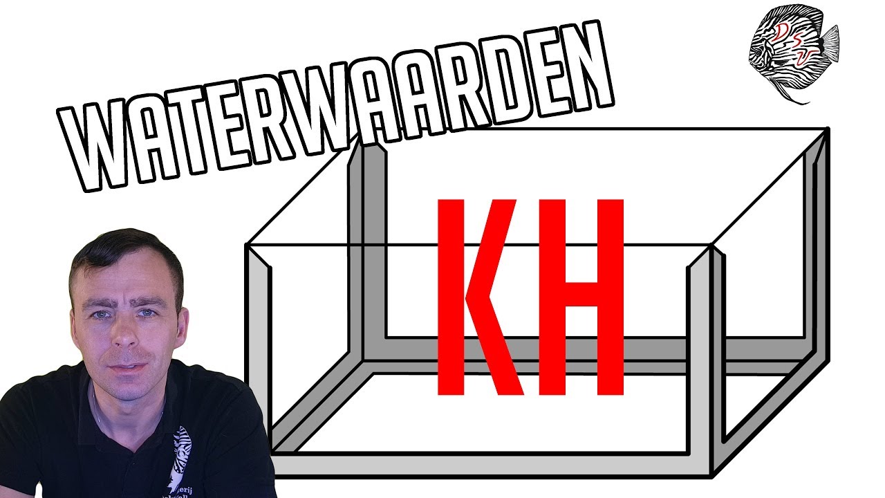 KH is DE belangrijkste waterwaarde in het AQUARIUM | Aquarium Sunshine Valley