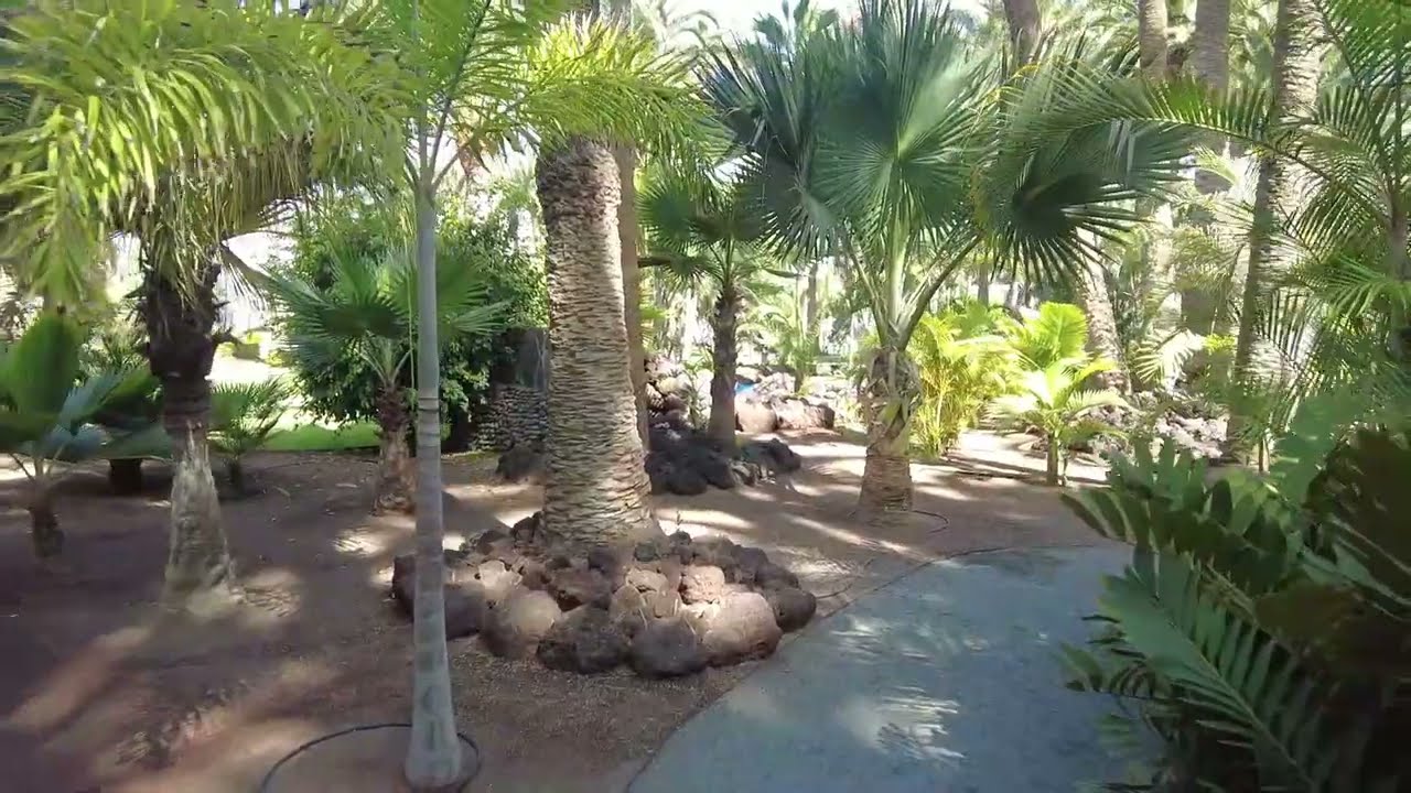 Hotel RIU Palace Oasis  2.Teil  ....der Garten.... .....Harry spezial.....