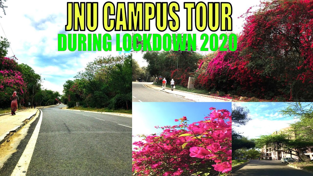 JNU Campus Tour during Lockdown 2020  || Delhi Darshan || Offbeat Destinations
