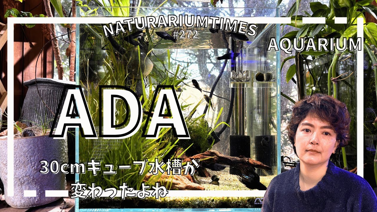 【#アクアリウム 】水槽が成長して仲間が増えるって最高だよね 【#aquarium 】@naturariumtimes
