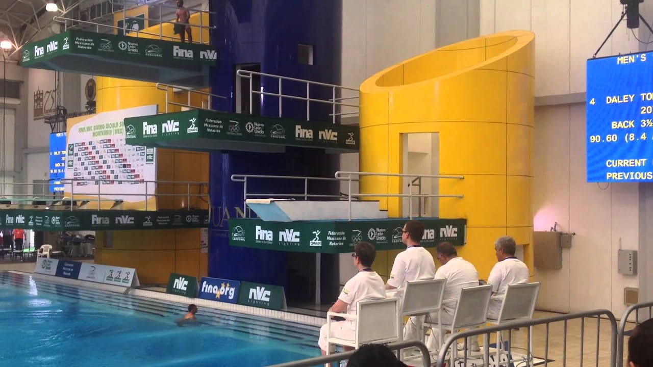 Perfect Dive!! Tom Daley