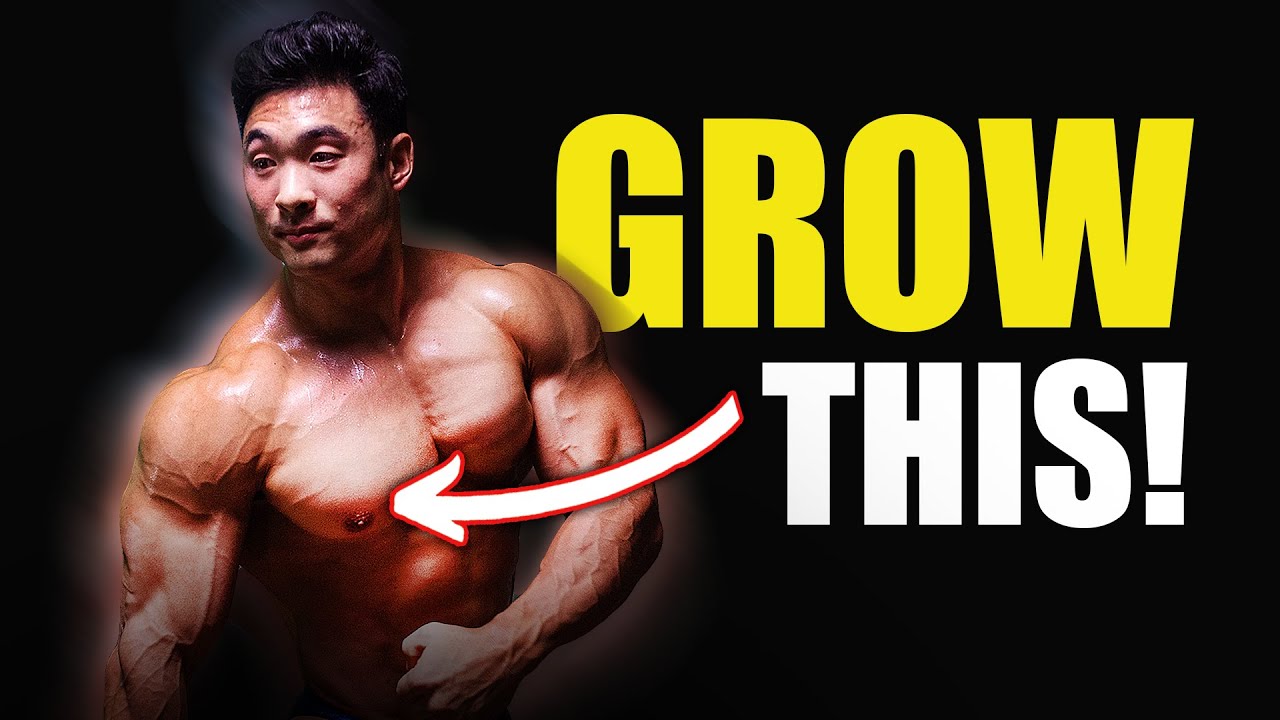 Build a Huge Lower Chest (How to Make a Highly Effective Program)