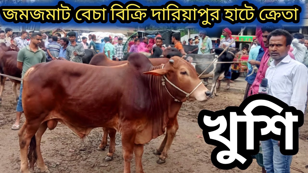 ১৩/৩/২৬| গাইবান্ধা জেলার দারিয়াপুর হাটে আমদানি ভরপুর বেচা বিক্রি ধুমছে চলছে ক্রেতারা খুশি!