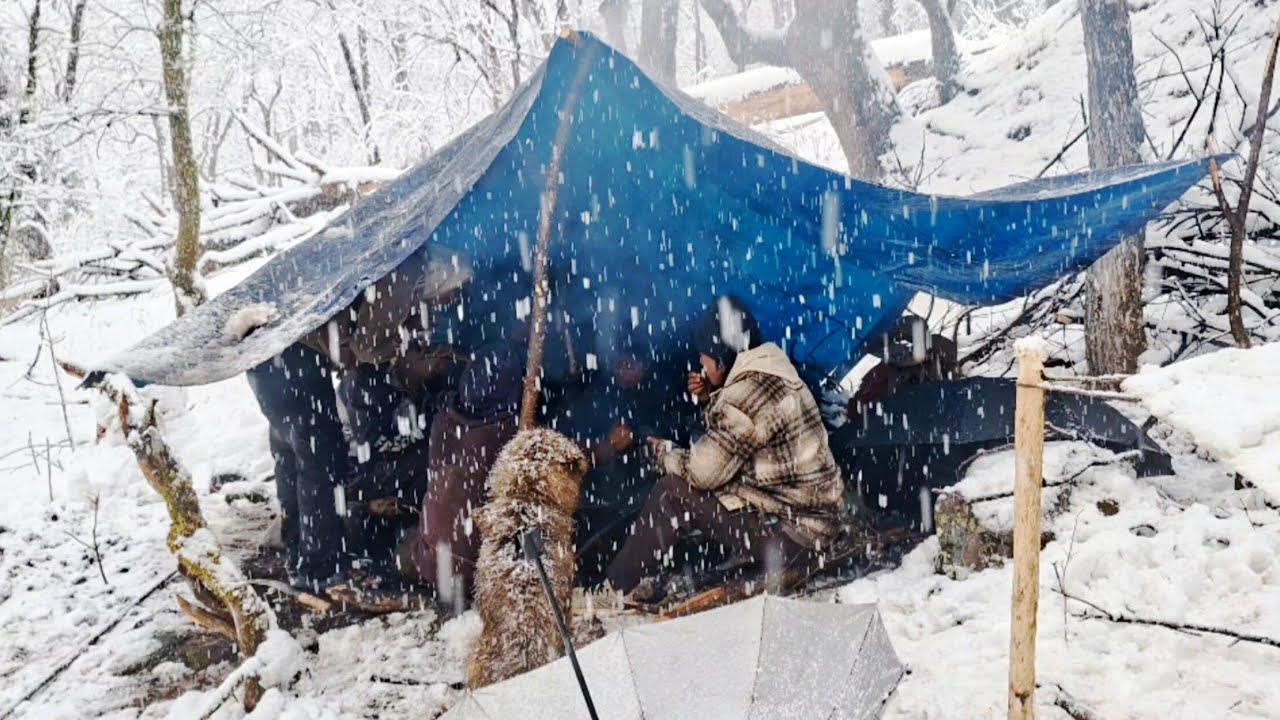 Inside Dolpa’s Coldest Region | A Family’s Real Experience Living in Nature, Caves & Tents🌧️🌧️🌧️