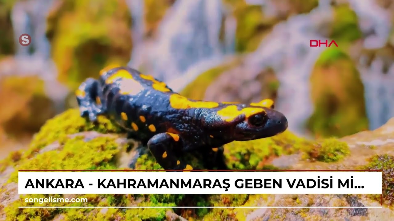 Ankara - Kahramanmaraş Geben Vadisi, milli park stat&uuml;s&uuml;ne alındı