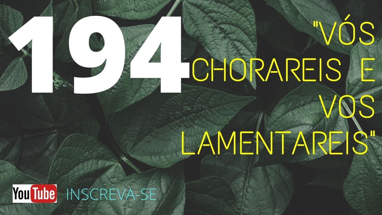 CCB HINO 194 NO VIOLINO, 
