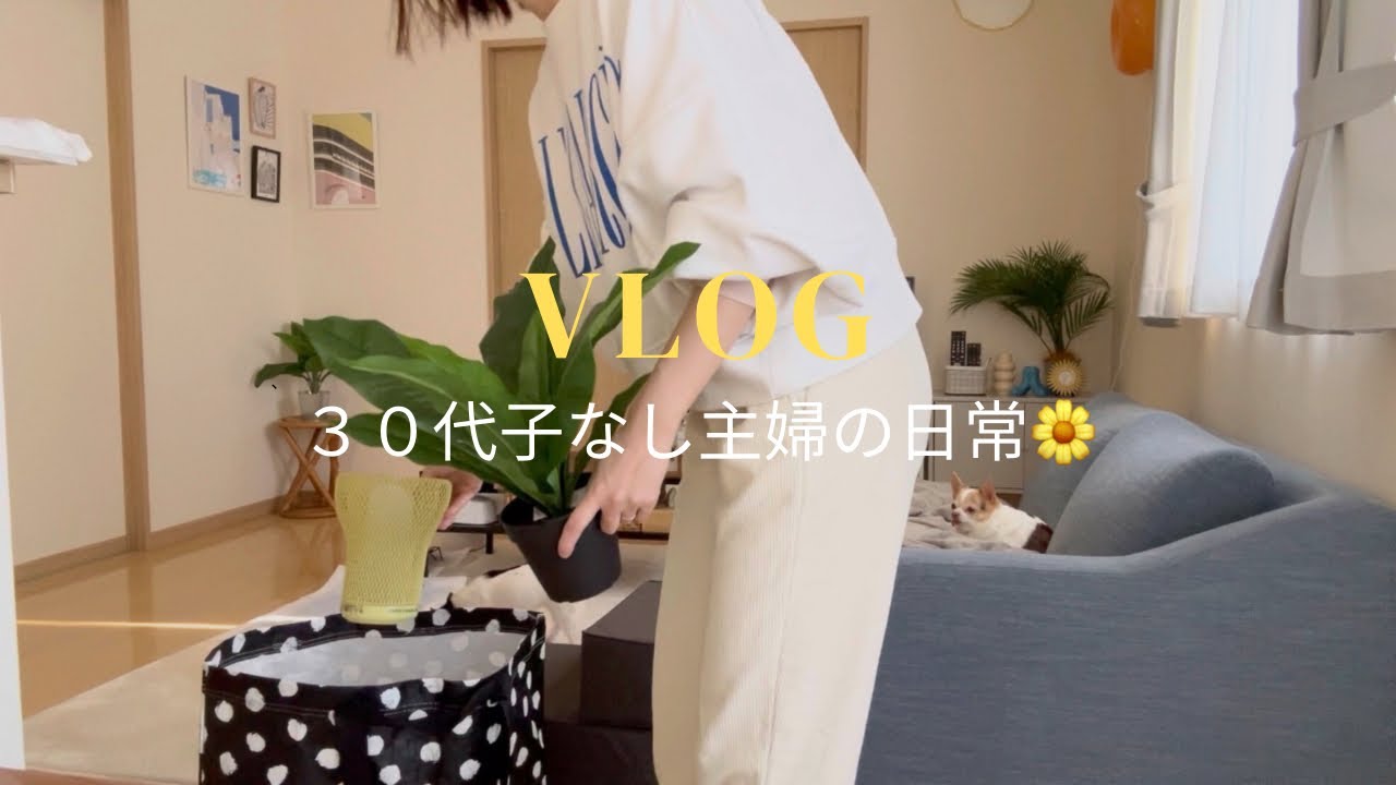【VLOG】いまいちやる気の出ない日の家事🧹🧺｜IKEAでインテリアをアップデート🇸🇪｜コストコ🛒｜夫の誕生日🎂