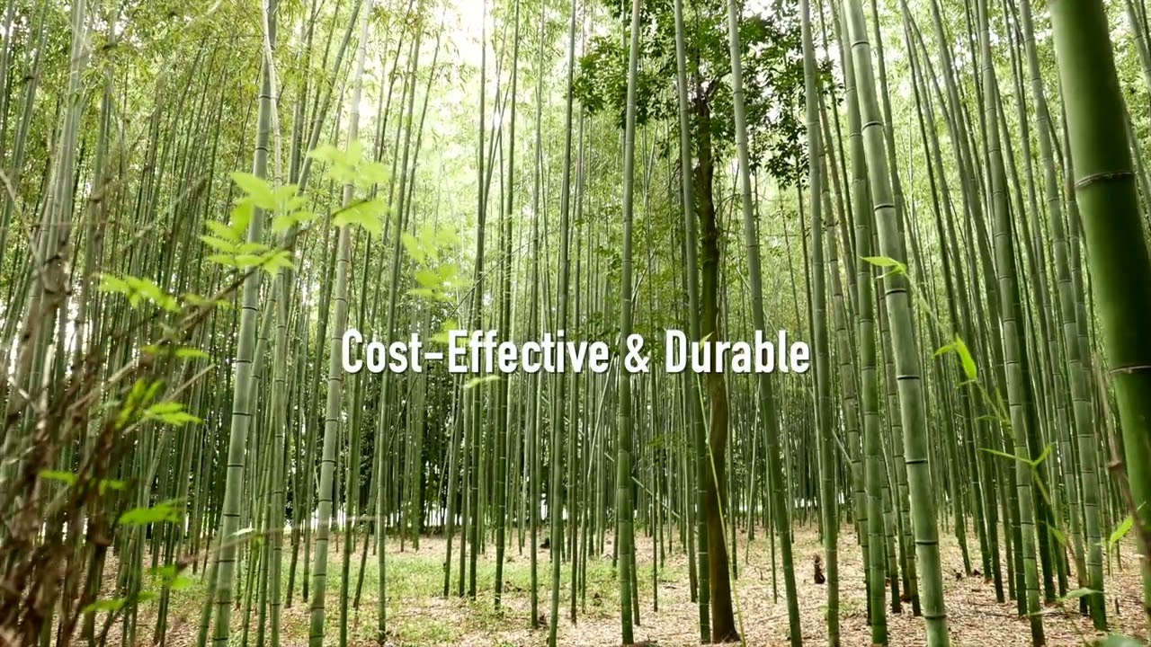 Bamboo vs. Traditional Building Materials: A Comparative Analysis