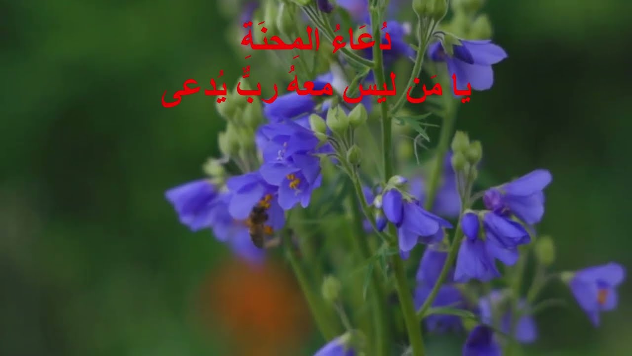 دعاء المحنة ..يا من ليس معه ربٌّ يُدعى ..