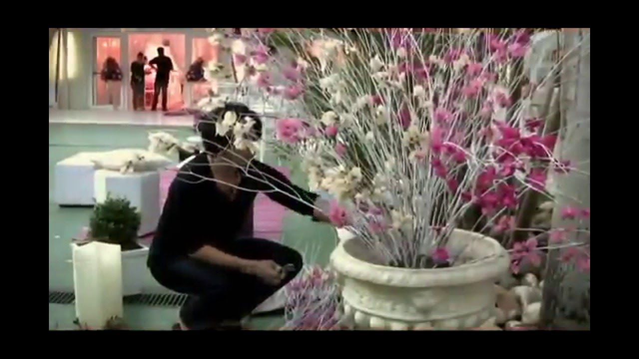 Making of  Neusa Festas