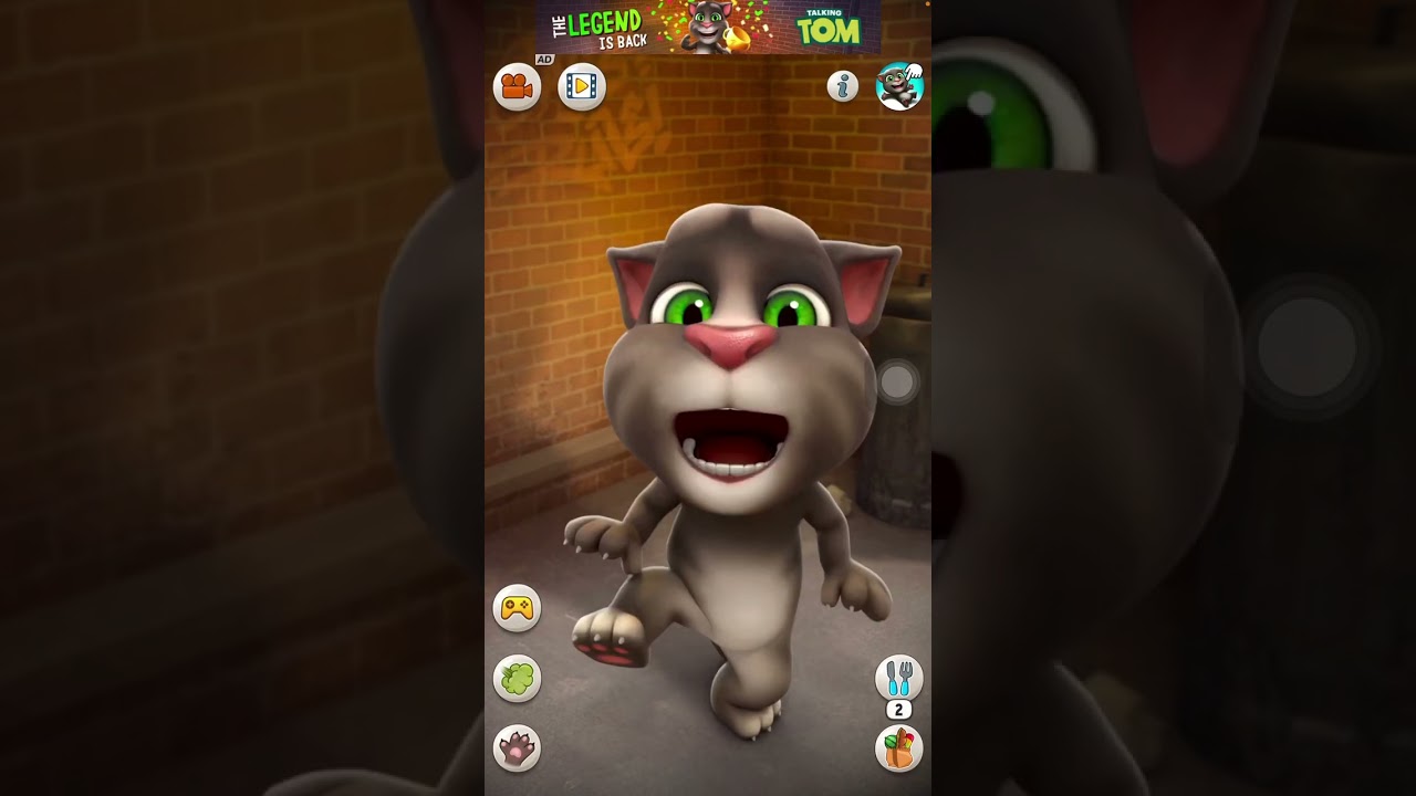 Fight With My Talking Tom Cat| Talking Ginger Cat #angry😡🤬 🍐🍒🍕🍉🍊🥞🍑 #talkingtom #gameplay