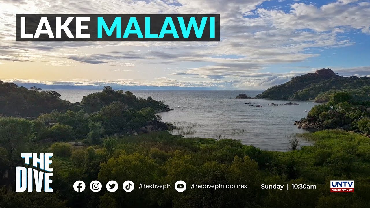 What to see under Lake Malawi, Africa #TheDivePH