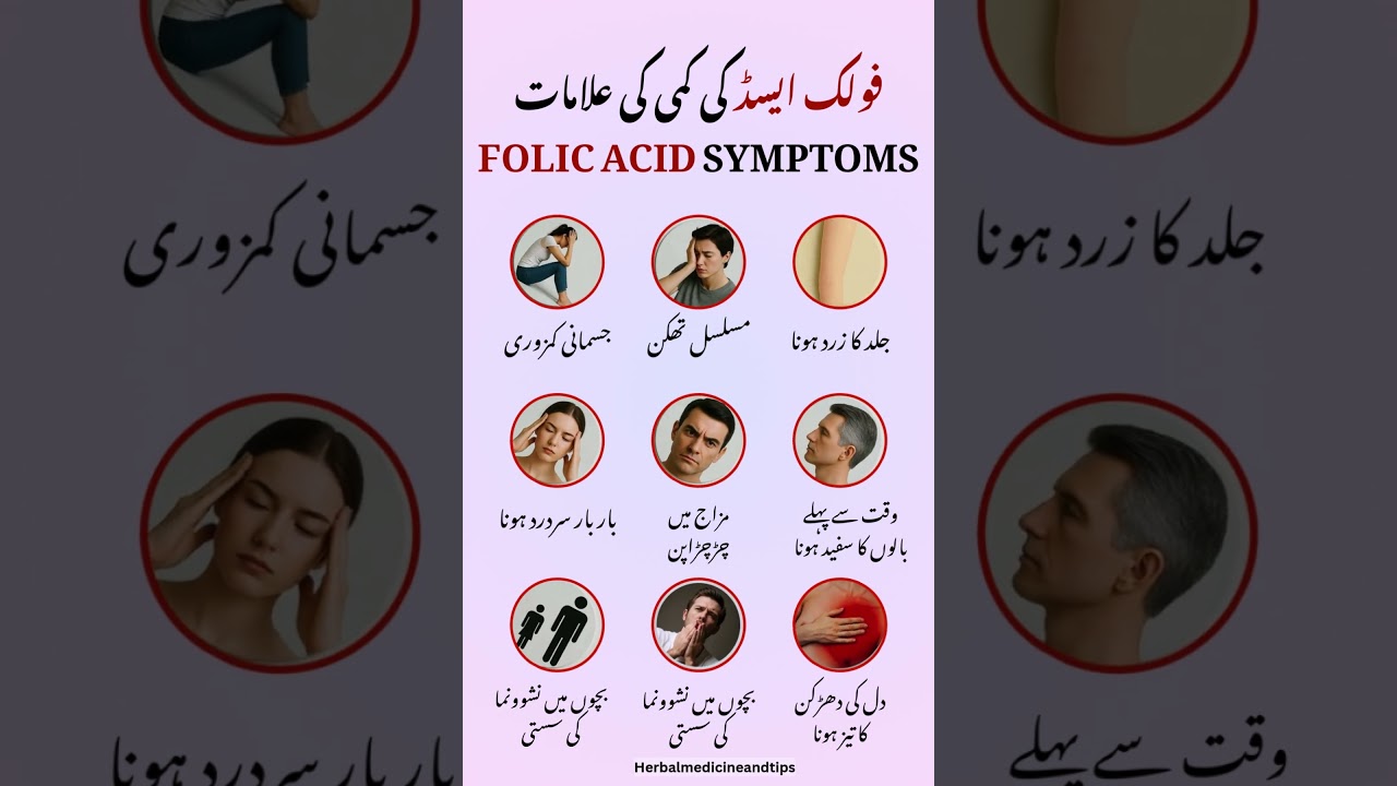 Folic Acid ki Kami ke Khatarnaak Nishaniyan