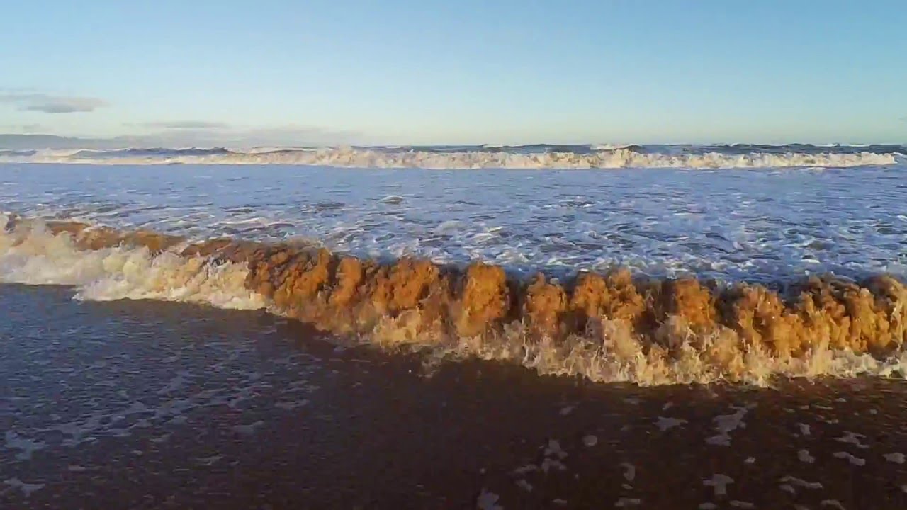 CX-20, Xiaomi Yi, G-2D Dornoch Beach & Blackwater Scotland