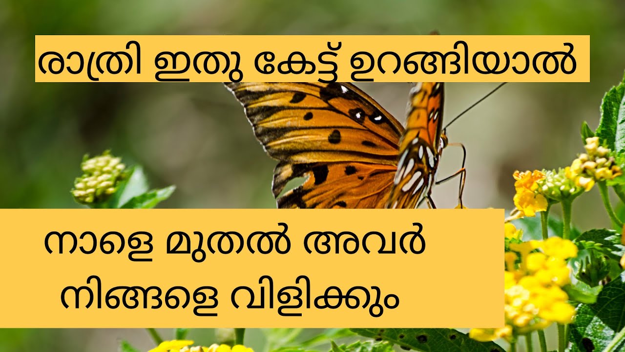Make Them Contact You (Fast) - Malayalam Subliminal