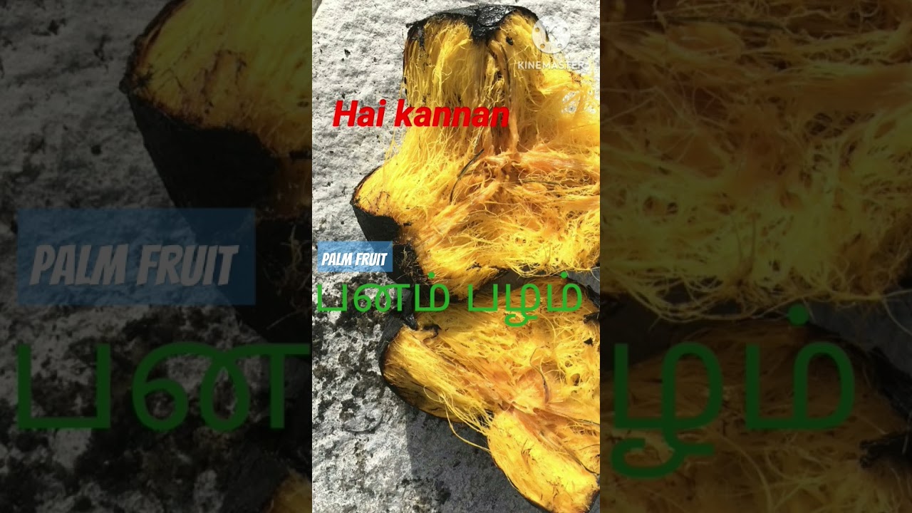 palm fruit/PanAm palam/palm fruit benefits/Hai kannan/
