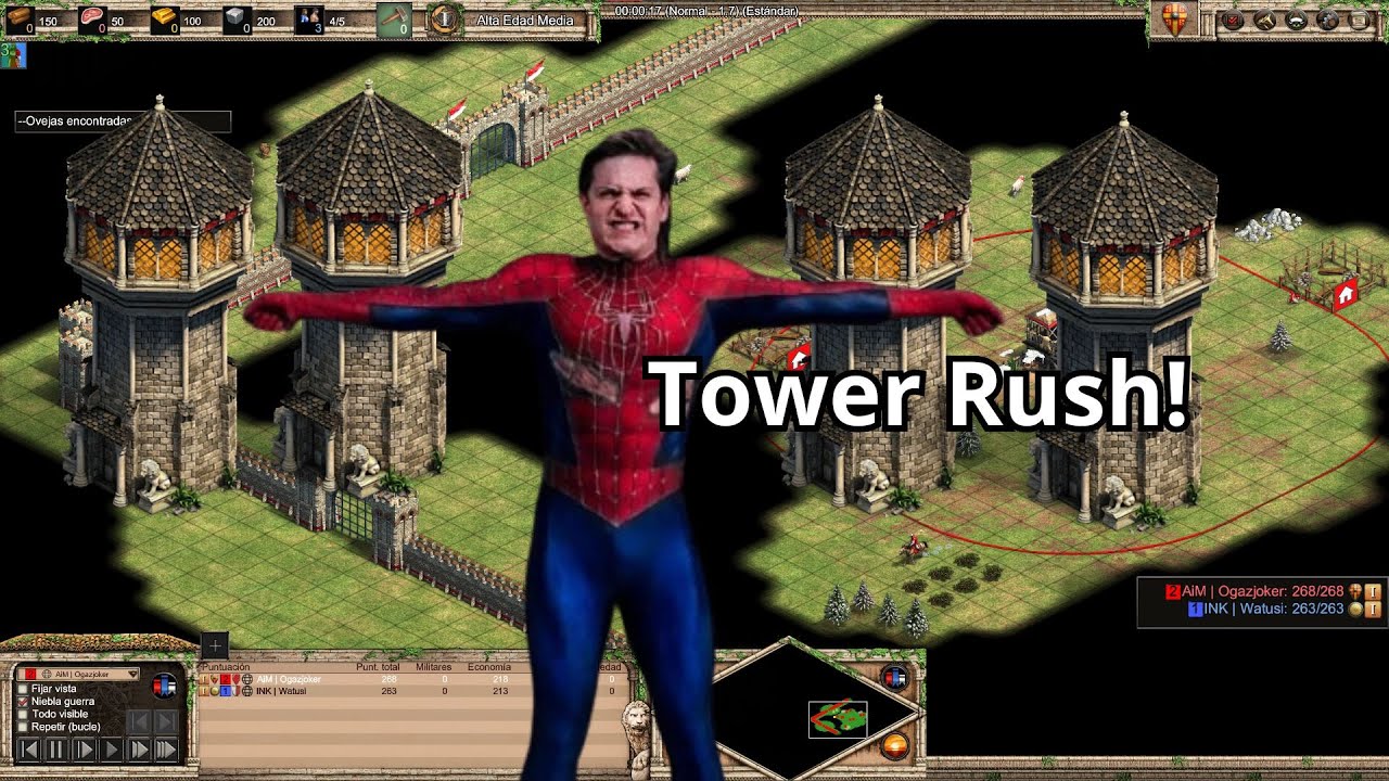 ¡¡¡SOBREVIVO A UN PUSH DE TORRES!!! | AGE OF EMPIRES 2