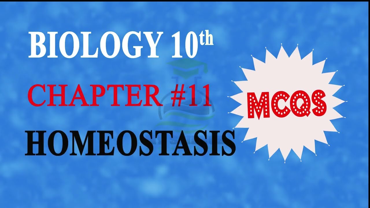 Homeostasis Mcqs biology 10th|10 class biology chapter 11 Mcqs|chapter 11 homeostasis mcqs 10th bio