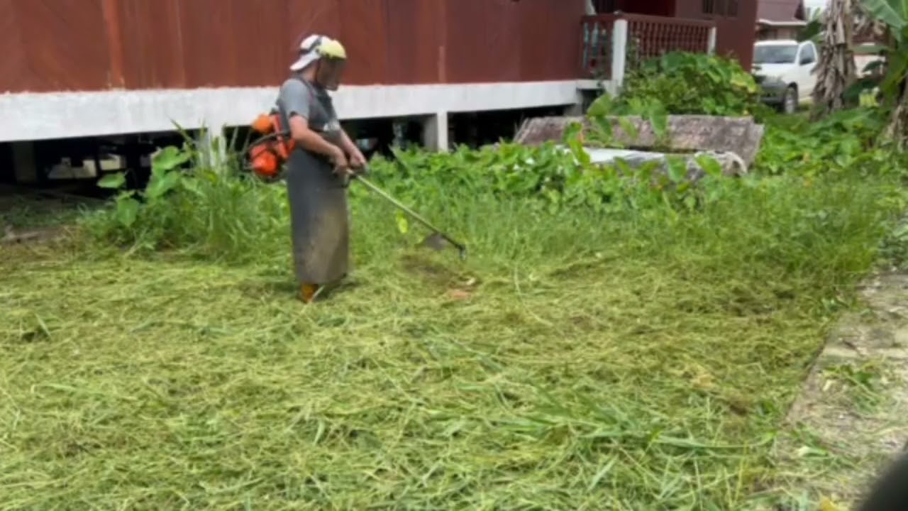Cut grass cutting affordable part 7