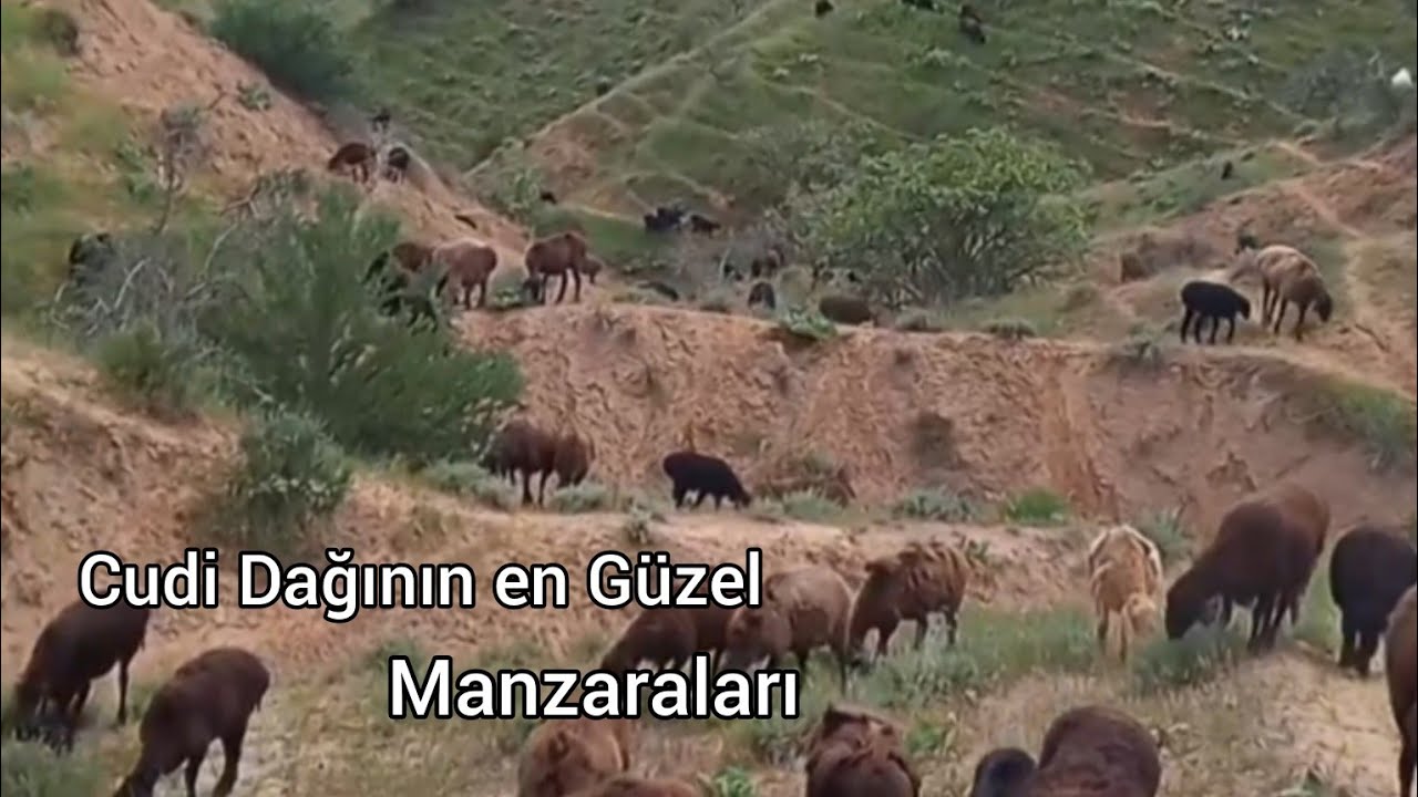 Cudi Dağının en Güzel Manzaraları