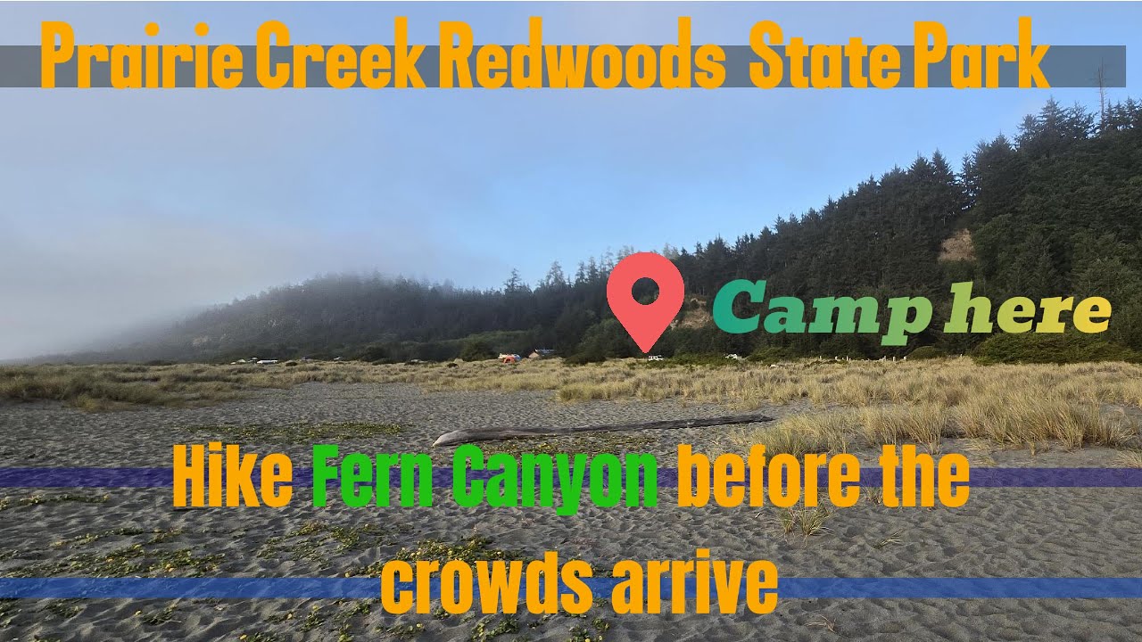 Gold Bluff Campground gets you a head start to Hike Fern Canyon at Prairie Creek Redwoods State Park