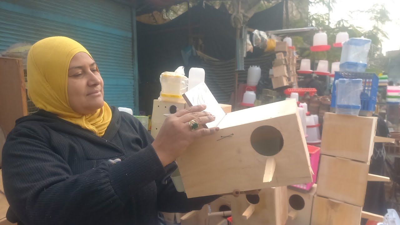 عروض وخصومات كبيرة⁉️حرق اسعار👈على العشوش والمستلزمات عند ام يوسف والعالمي بمناسبة العام الجديد💚⚘️