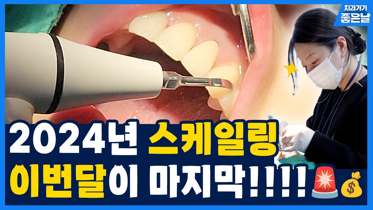 강냉이 여러분!! 12월까지는 돈을 아낍니다!!!💸