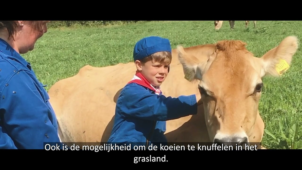 Gyvelborg boerderijcamping  een fantastishe plek op midden Jutland