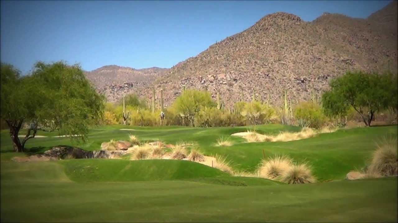 The Gallery at Dove Mountain South Course