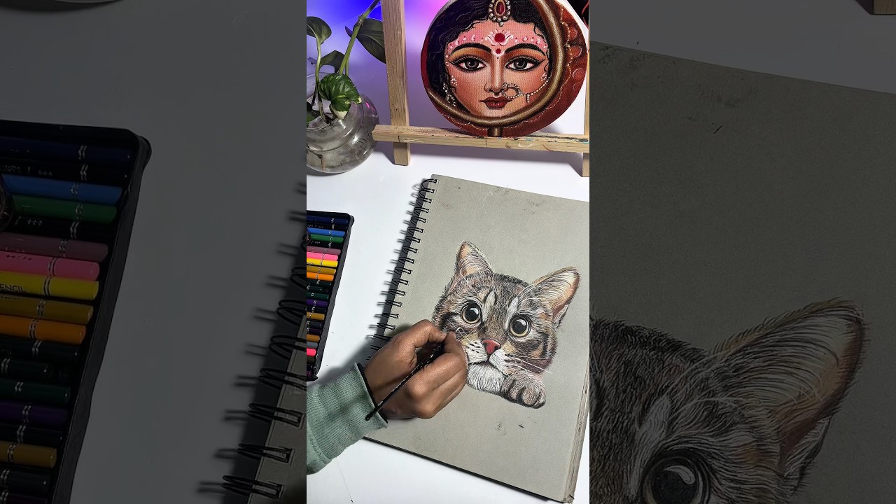 Do you like cats? 🐈 😍 