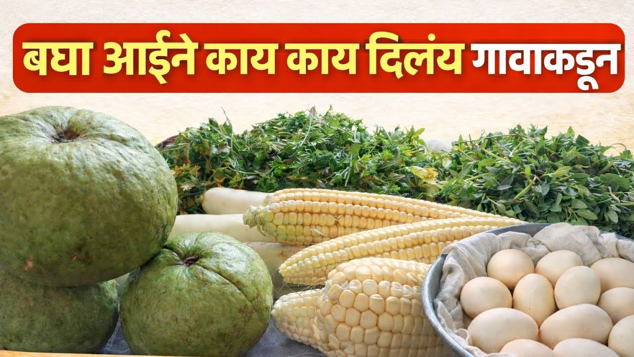 आईने गावाकडून दिलेलं प्रेम 💖 | काय काय दिलं बघा