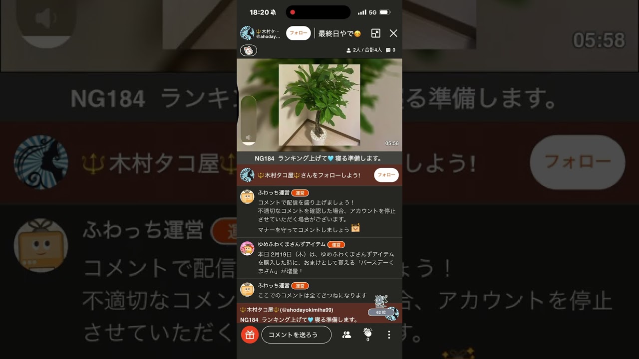2026年2月19日
