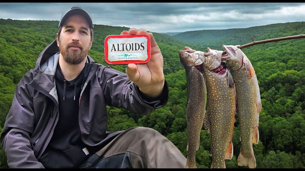 3 Days in the Wild Using an Altoids Tin Survival Kit to Survive - No Food or Water