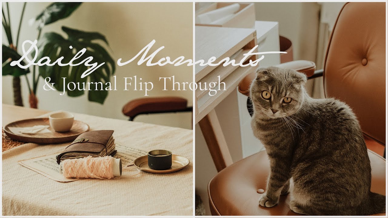 Daily Moments & Journal FlipThrough Vol. 14