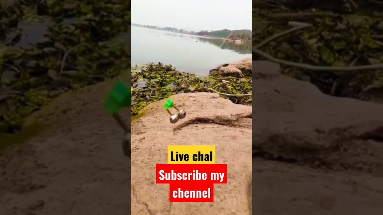 #hunterxhunter #viral #mangladam #fisherman #fishingtips #fishing Rawal dam