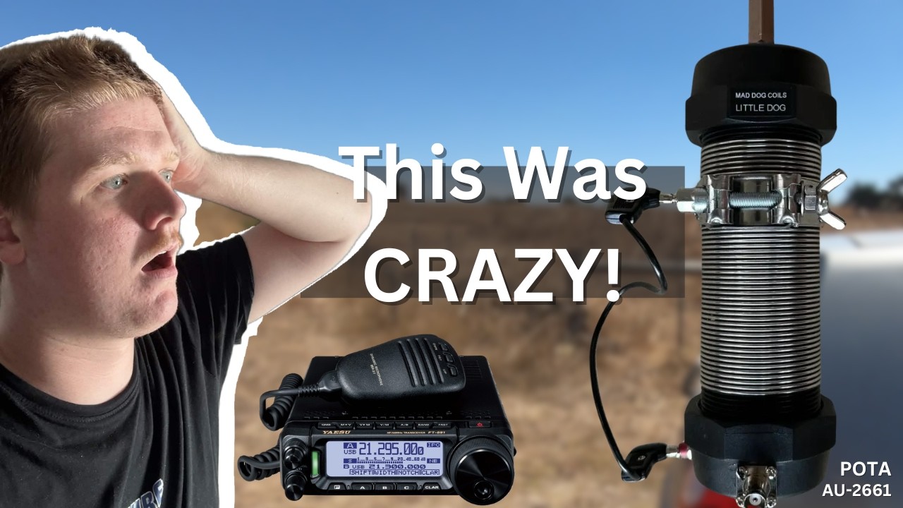 100 Watts From a Park… The FT-891 Did THIS.