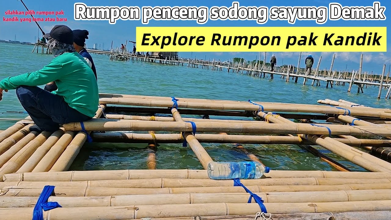 Kondisi rumpon pak kandik yang baru #rumpon penceng