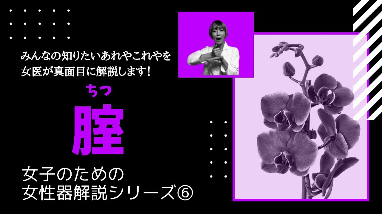 【気になる女性器シリーズ⑥】腟について