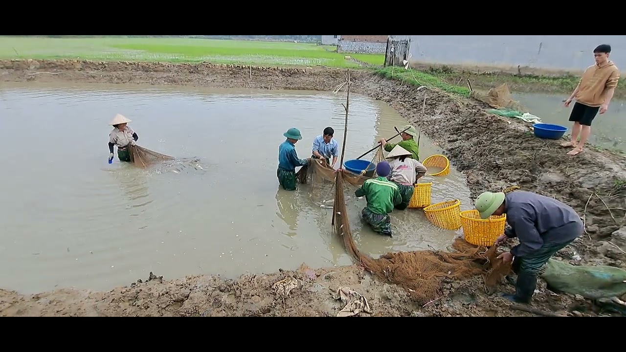 Niềm vui kéo mẻ cá gần Tết