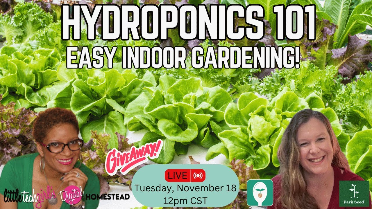 Hydroponics 101: Easy Indoor Gardening for Any Home!