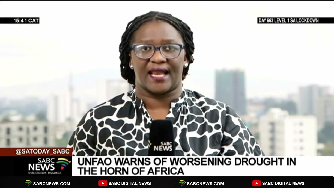 UNFAO warns of worsening drought in the Horn of Africa