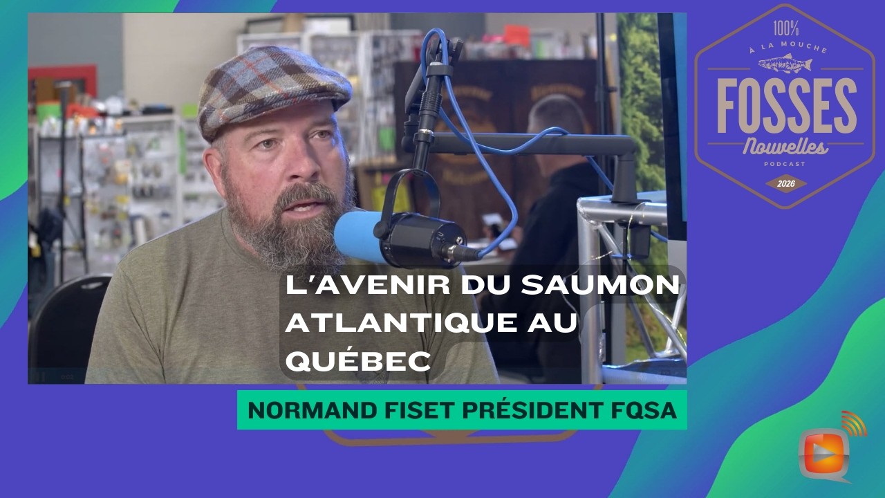 L'avenir du Saumon Atlantique au Québec : Entrevue exclusive avec Norman Fiset (FQSA)