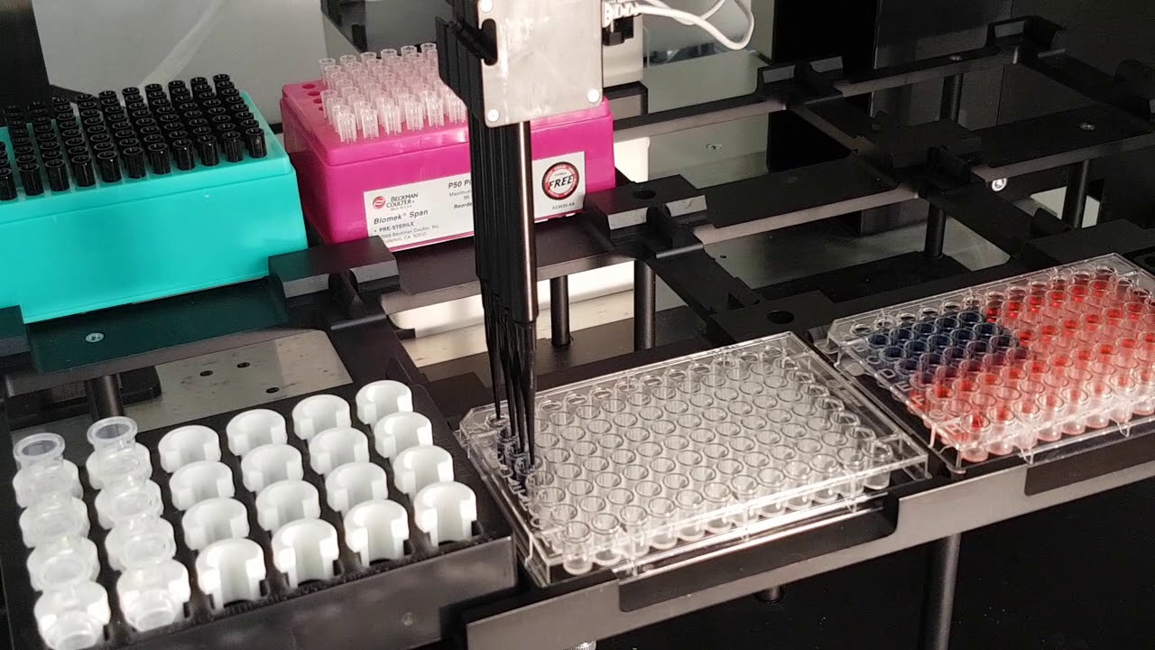 Beckman Coulter Biomek NXᴾ Automated Liquid Handling Workstation BLE1900002