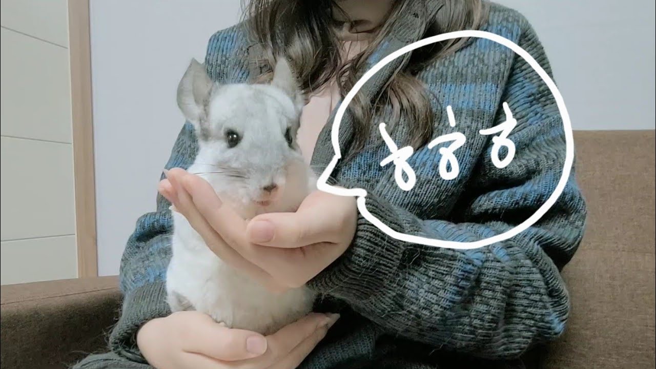 친구 여자친구 품속에선 왜 하나도 안빡친칠라