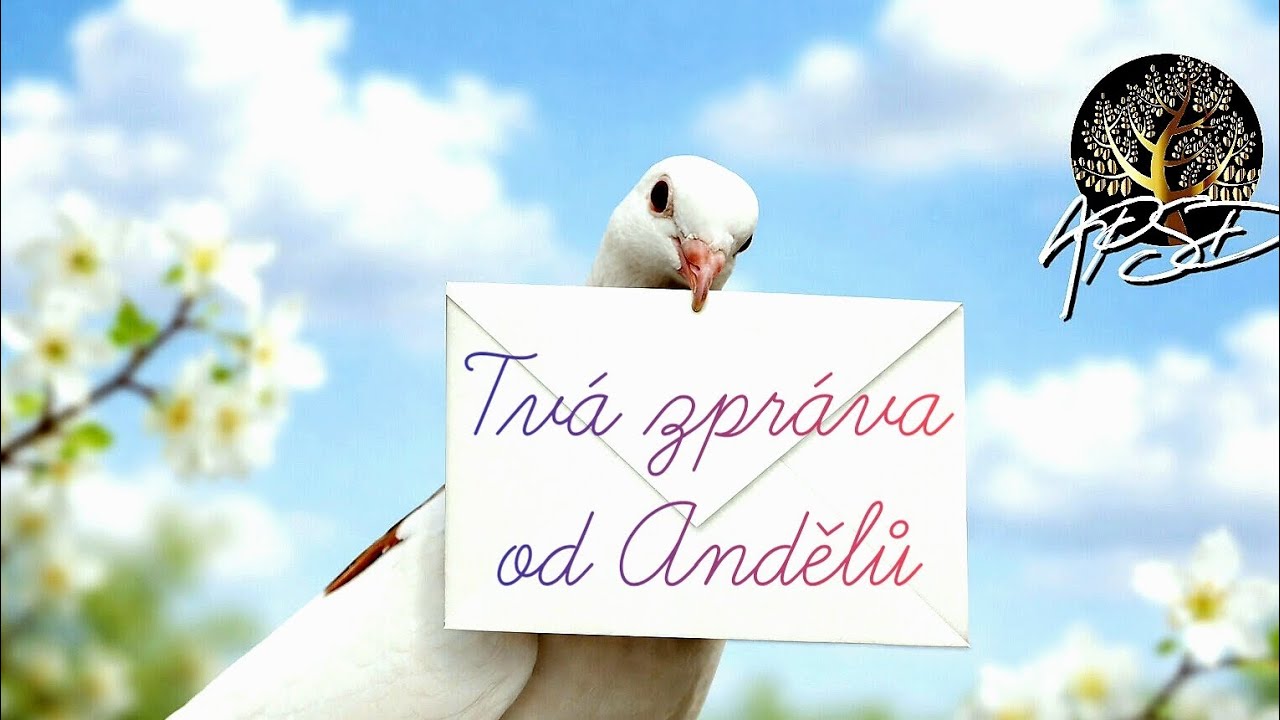 📩 Andělský vzkaz možná pro tebe 🪽 Nadčasový výklad karet  a pozdrav z Andělského ✨️